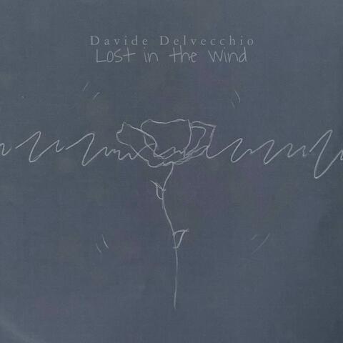 Lost in the Wind