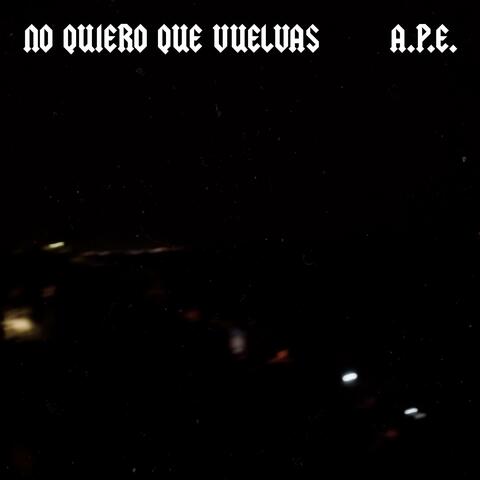 No Quiero Que Vuelvas