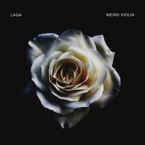 Weird Violin