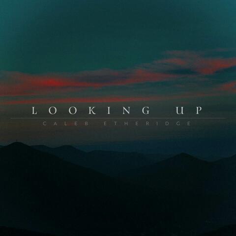 Looking Up