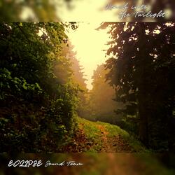 Reach into the Twilight