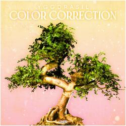 Color Correction