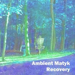 Recovery
