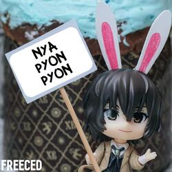 Nya Pyon Pyon