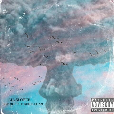 Before The Birds Soar