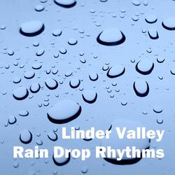 Driving Night Rain Rhythm