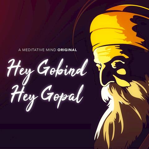 Hey Gobind Hey Gopal