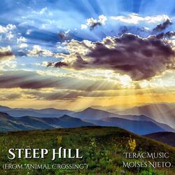 Steep Hill (From "Animal Crossing")