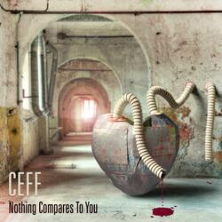 Nothing Compares To You