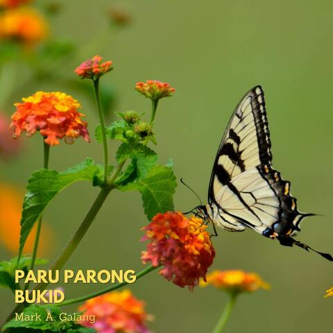 Paru Parong Bukid