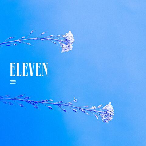ELEVEN