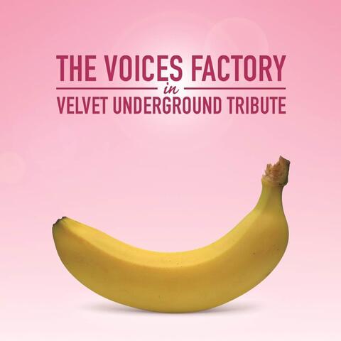 The Voices Factory Sings The Velvet Underground
