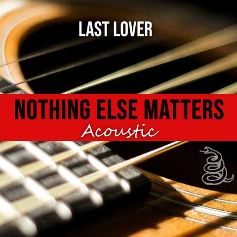 Nothing Else Matters (Acoustic)