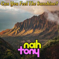 Can You Feel The Sunshine? (From "Sonic R")