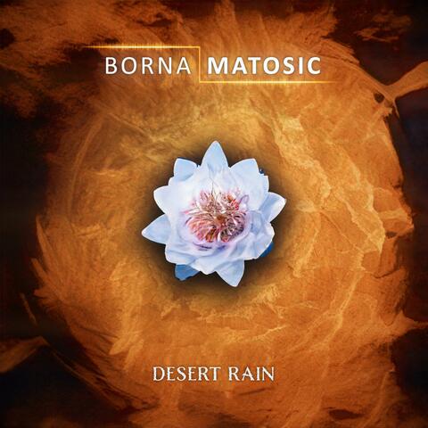 Desert Rain