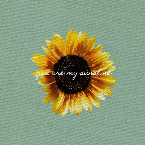 You Are My Sunshine
