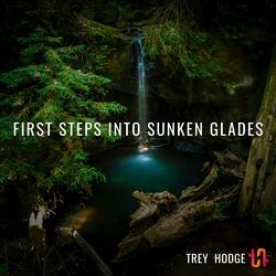 First Steps Into Sunken Glades (from "Ori and the Blind Forest")