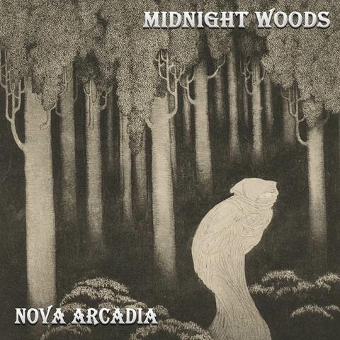 Midnight Woods
