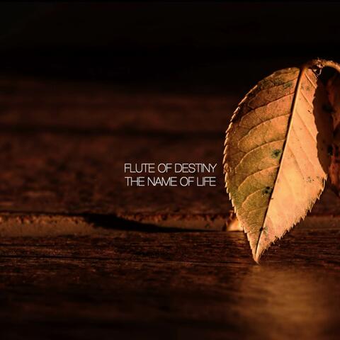 The Name of Life (From "Spirited Away")