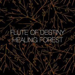 Healing Forest