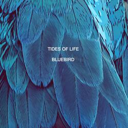 Blue Bird (From "Naruto Shippuden")