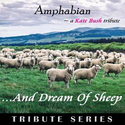 And Dream Of Sheep