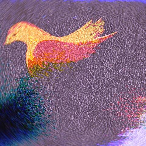 Dragonflight