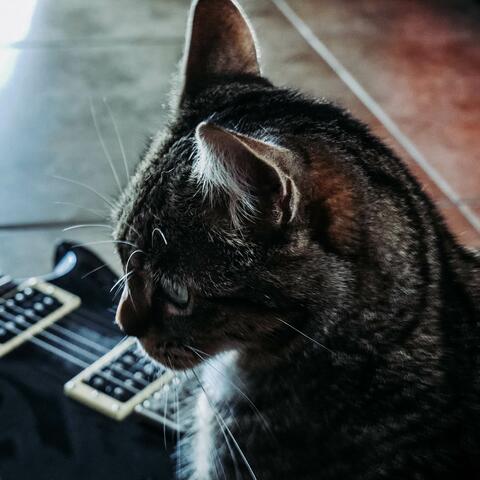 Cat Metal