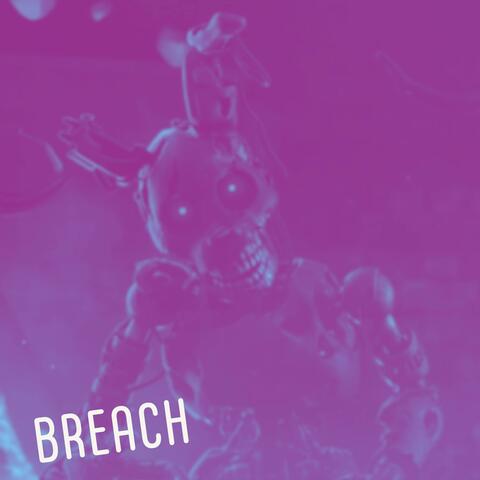 Breach