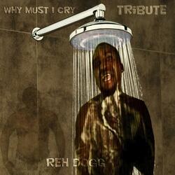 Why Must I Cry (Bedroom Mix)