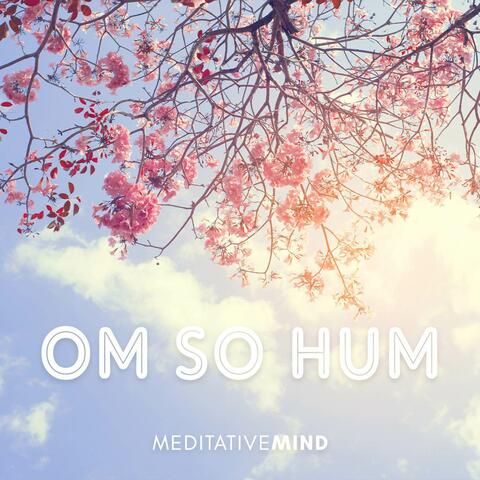 OM SO HUM
