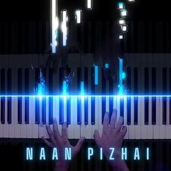 Naan Pizhai