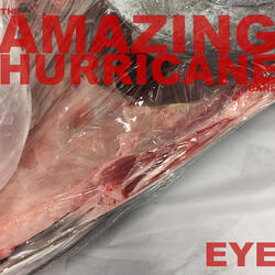 Very Hurricane Virginie