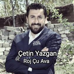 Roj Çu Ava