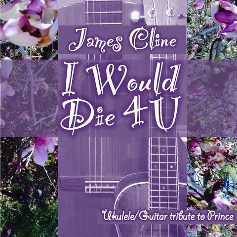 I Would Die 4 U (Ukulele/Guitar Cover)