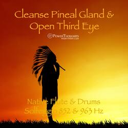 Cleanse Pineal Gland & Open Third Eye: Native Flute & Drums, Pt. 3