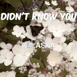 Didn't Know You