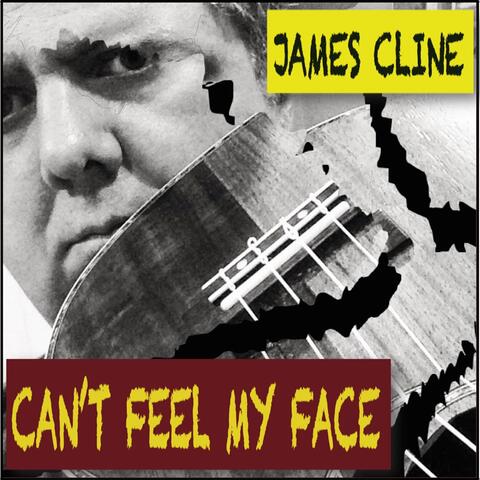 Can't Feel My Face (Ukulele/Guitar Cover)