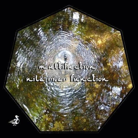 Nile River Function
