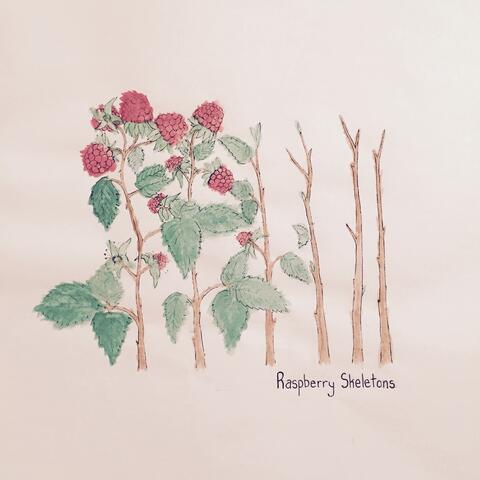 Raspberry Skeletons