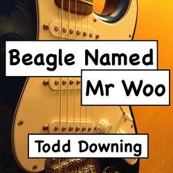 Beagle Named Mr Woo