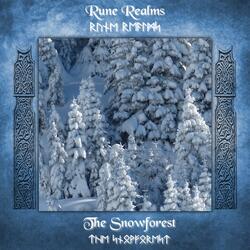 Somber Forest Comforted by Snow