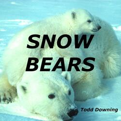Snow Bears