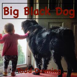Big Black Dog