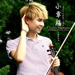 小幸運 (Violin Cover)