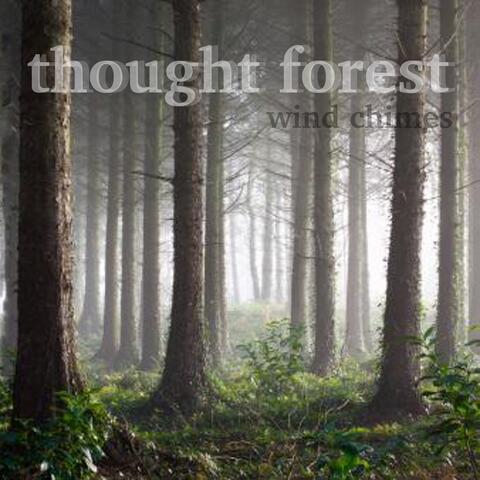 Thought Forest