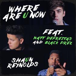 Where Are U Now (Feat. Matt Defreitas & Black Prez)