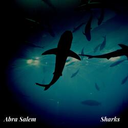 Sharks