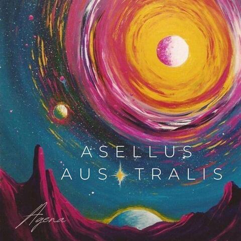 Asellus Australis