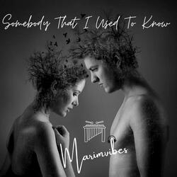 Somebody That I Used To Know